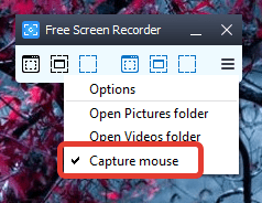 Отображение или скрытие курсора мыши в Free Screen Video Recorder