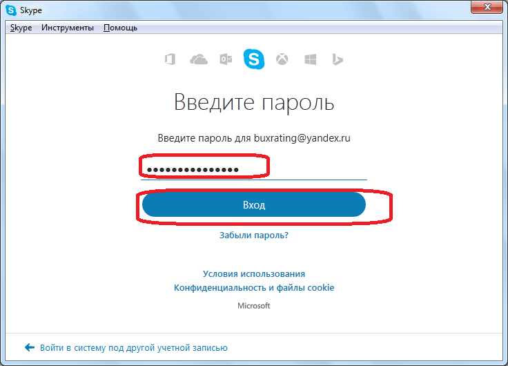 Введение пароля в форму входа в Skype
