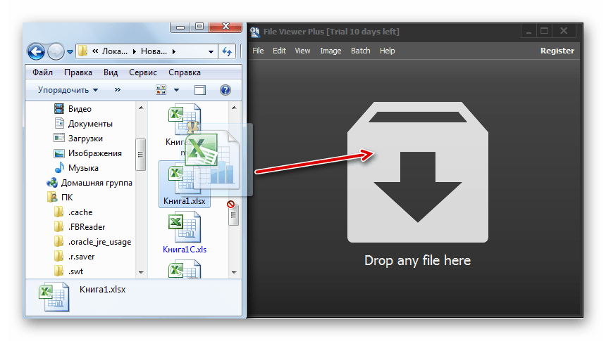 Перетаскивание файла из проводника Windows в окно программы File Viewer Plus