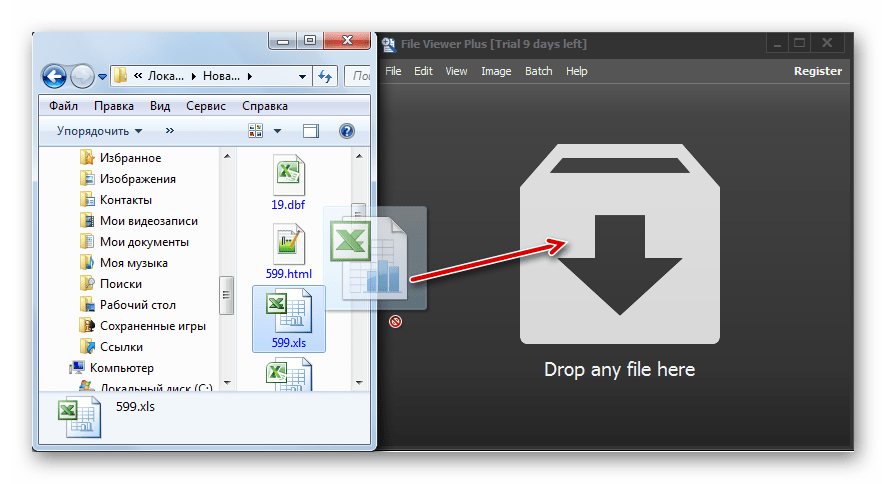 Перетягивание файла XLS из окна проводника Windows в окно программы File Viewer Plus