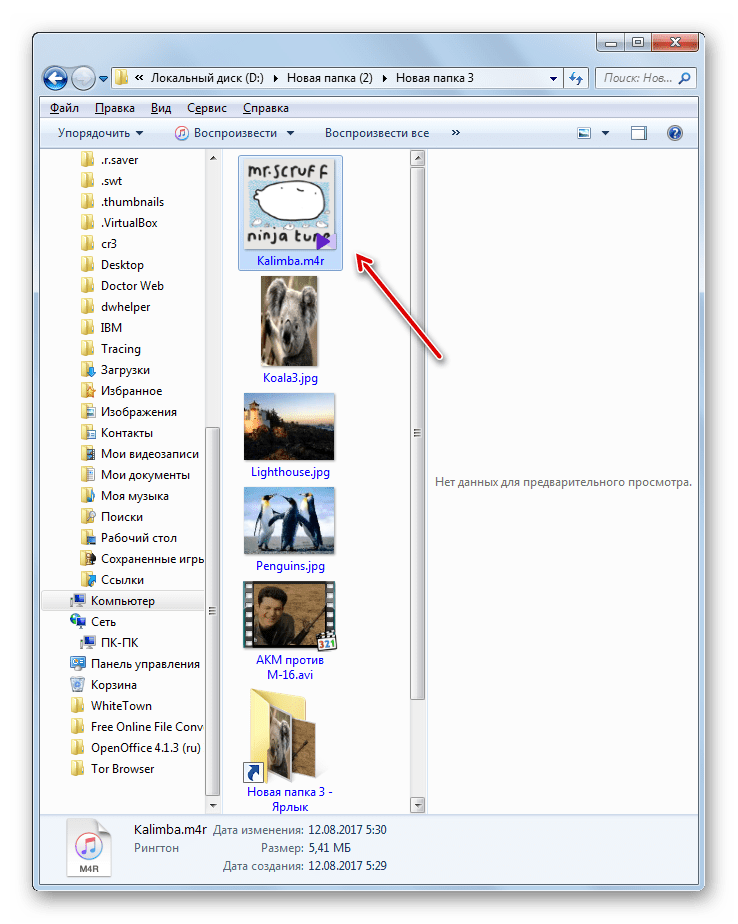 Файл переименован в формат M4R в Проводнике Windows