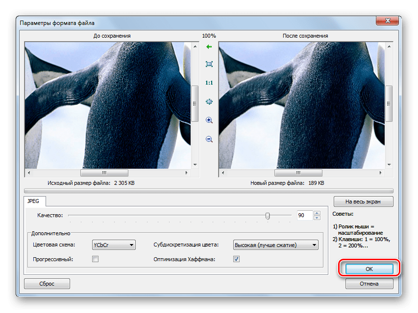 Окно параметров формата файла в программе FastStone Image Viewer
