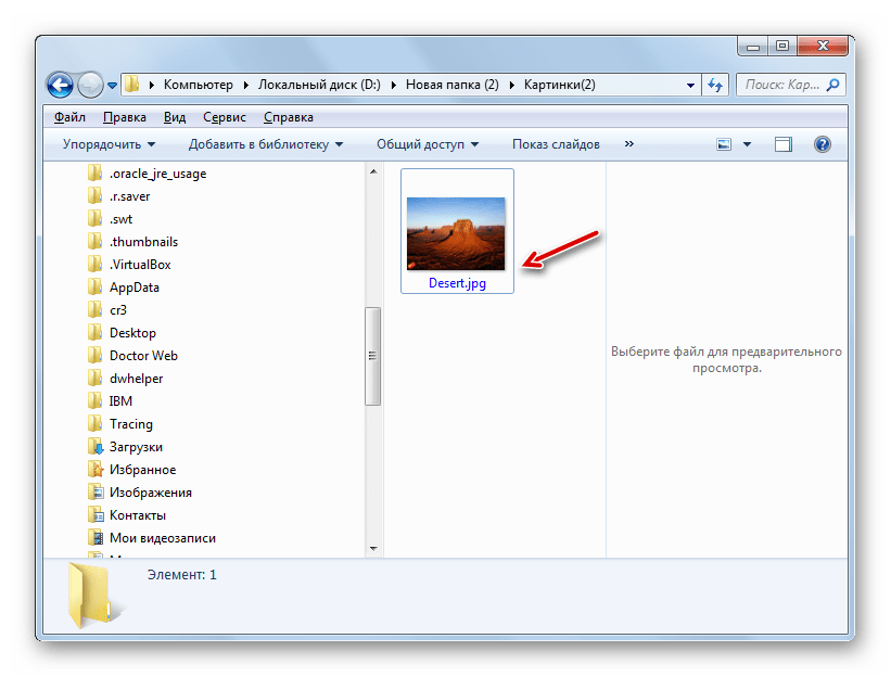 Папка размещения преобразованного файла в формате JPG В Проводнике Windows