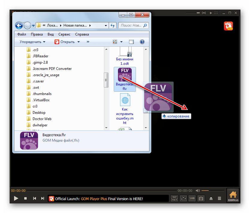 Перетягивание файла из Проводника Windows в окно программы GOM Player