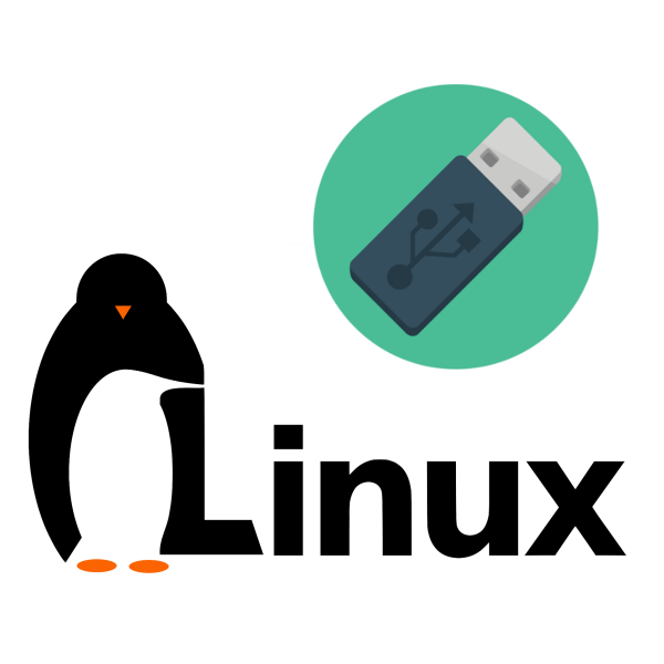Полноценная установка Linux на Flash-накопитель