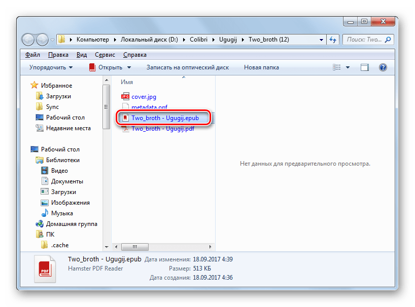 Директория расположения документа в формате ePub в Проводнике Windows
