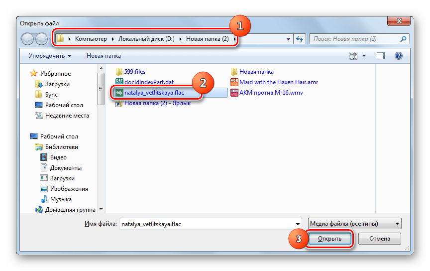 Окно открытия файла в программе GOM Player