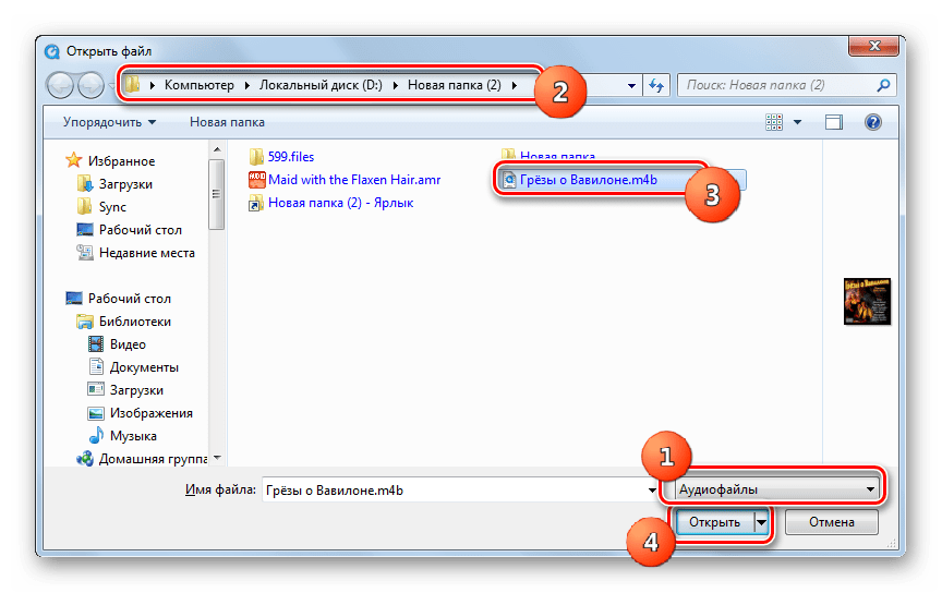 Окно открытия файла в программе QuickTime Player