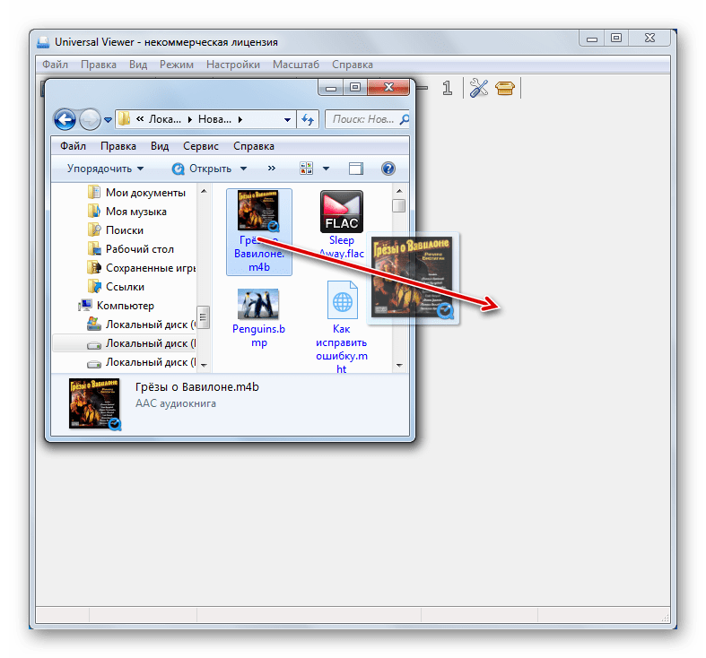 Перетаскивание файла аудиокниги M4B из Проводника Windows в окно программы Universal Viewer
