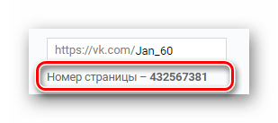 Строка Номер страницы в блоке Адрес страницы в разделе Настройки на сайте ВКонтакте