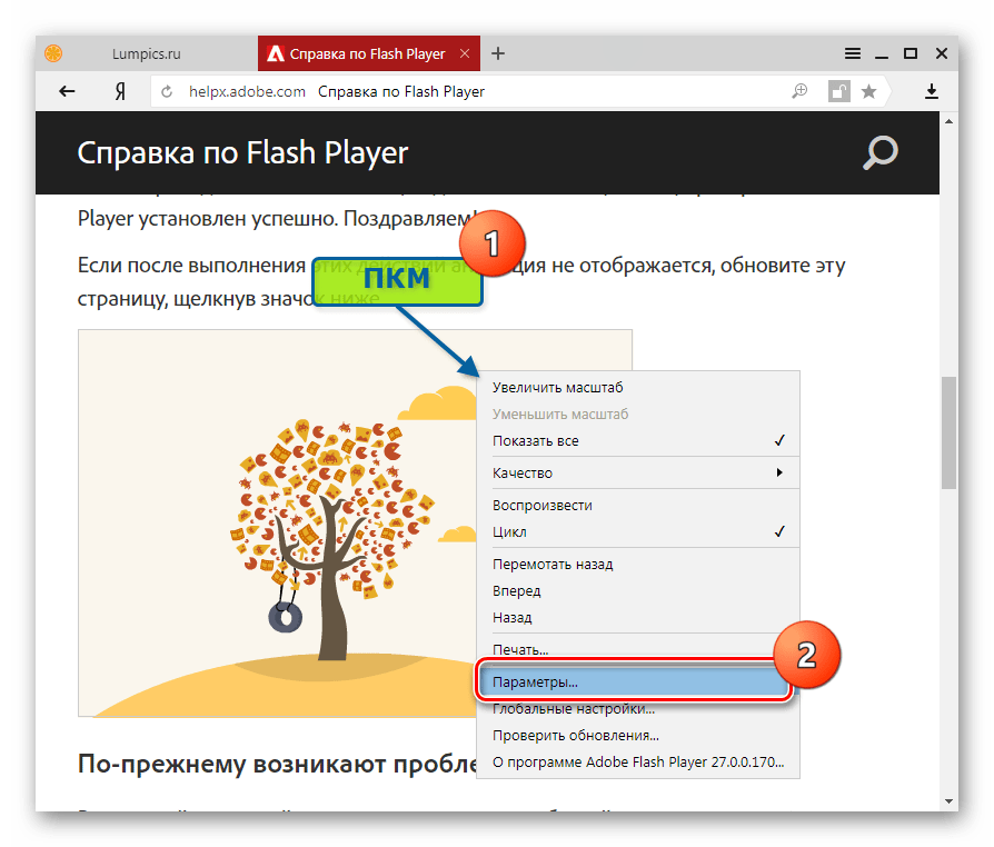 Adobe Flash Player в Яндекс.Браузер параметры Флеш Плеера