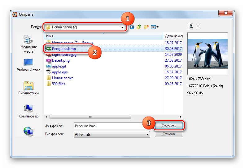 Окно открытия файла в программе FastStone Image Viewer