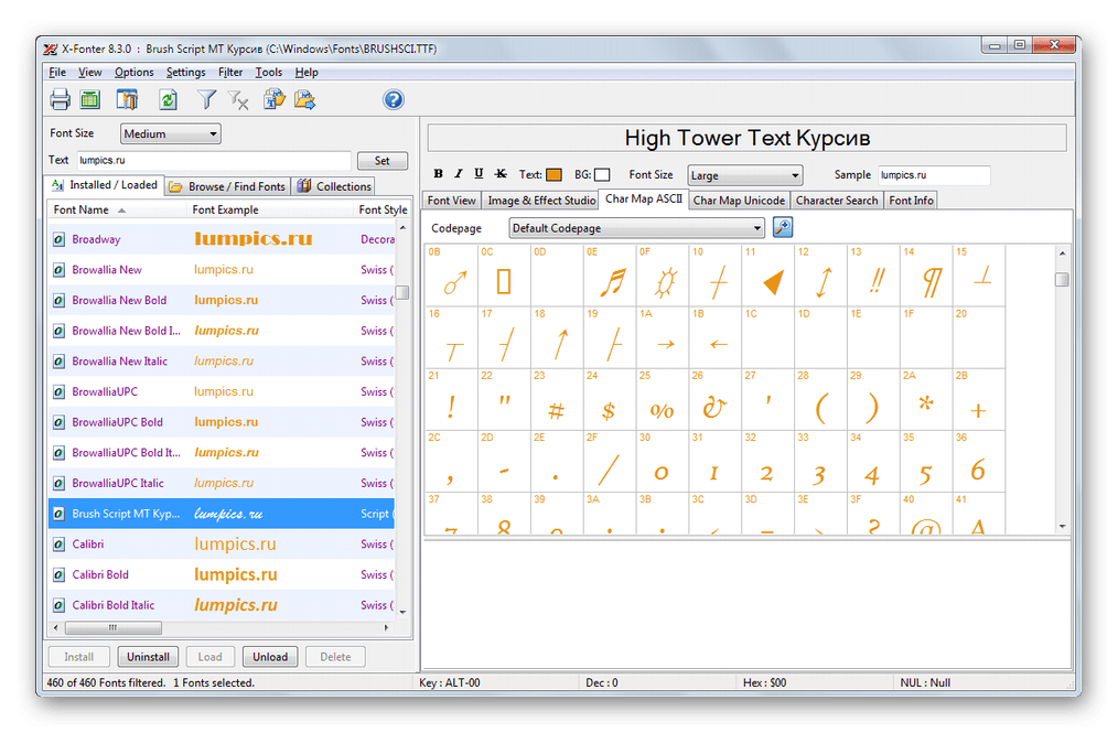 Просмотр символов в таблице ASCII в X-Fonter