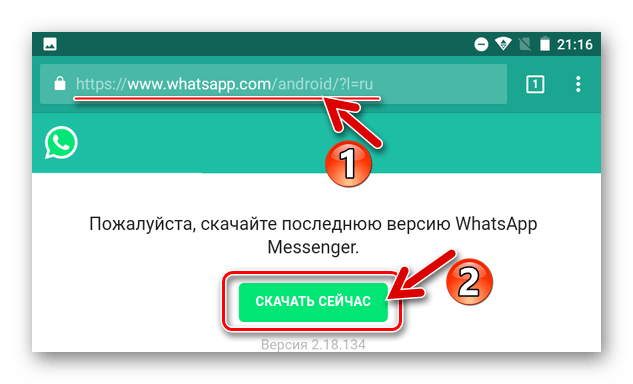 WhatsApp для Android apk-файл на официальном сайте Скачать сейчас