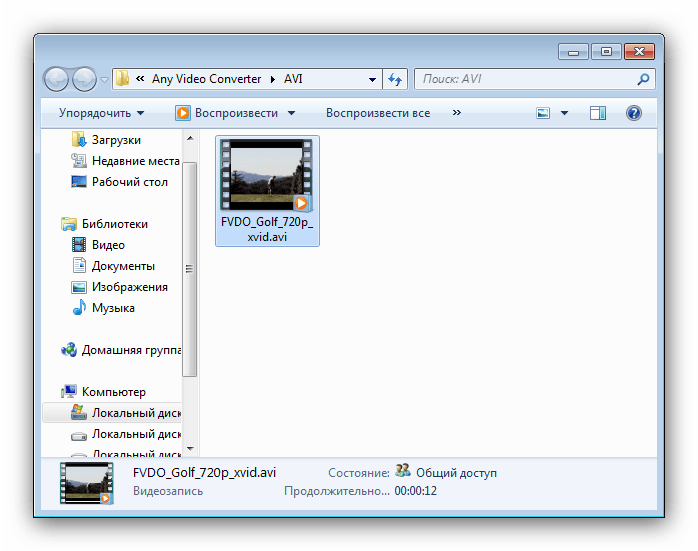 Файл H264, преобразованный в AVI через AnySoft Video Converter