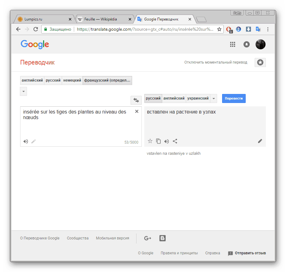 Отображение перевода фрагмента текста в браузере Google Chrome