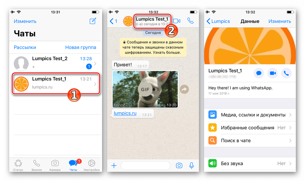 WhatsApp для iPhone очистка чата от сообщений - переход к данным участника мессенджера