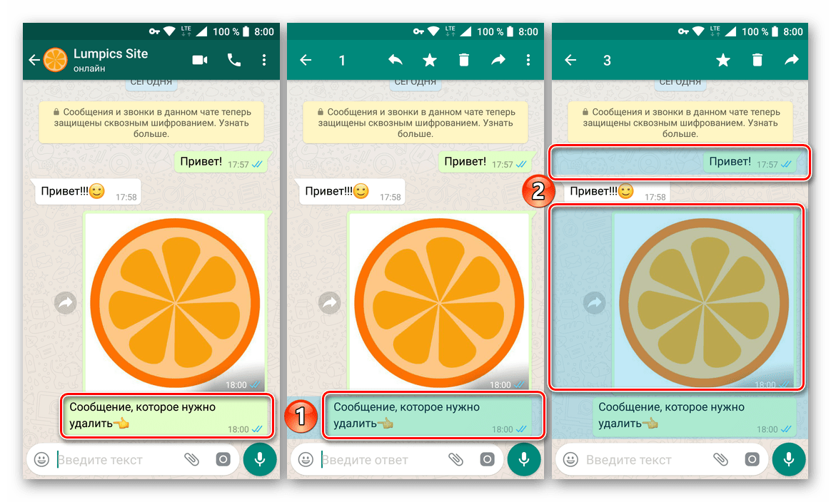 Выделение нескольких сообщений для их удаления у собеседника в приложении WhatsApp для Android