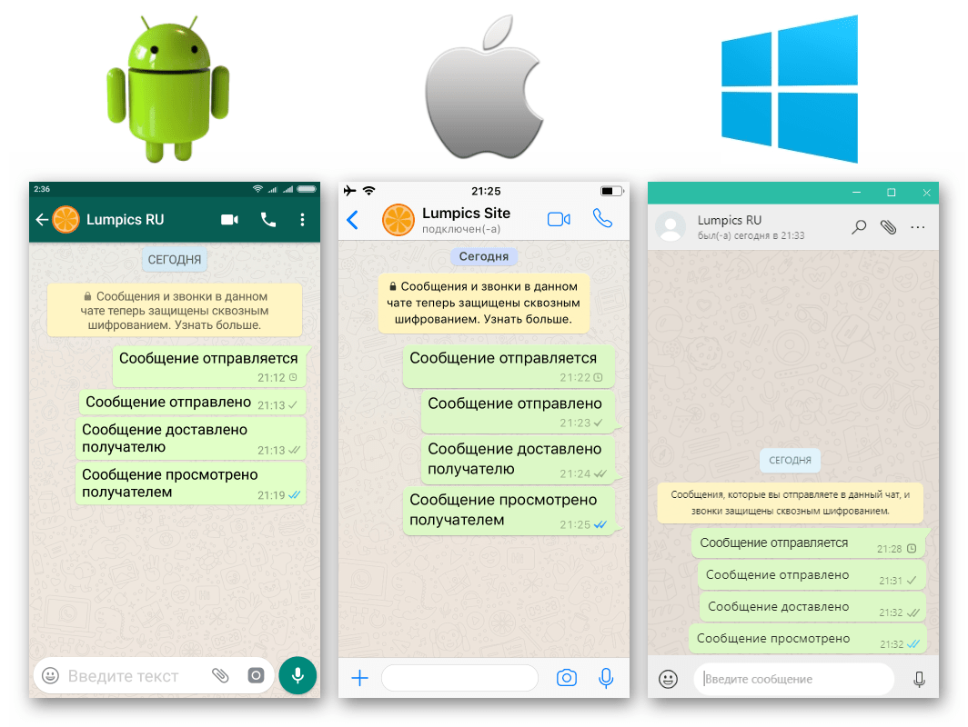 WhatsApp отображение статусов сообщений (галочек) в разных ОС