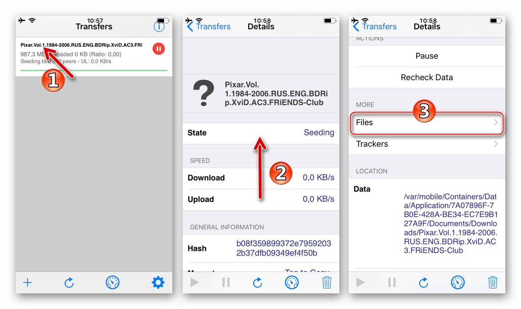 iPhone или iPad iTransmission доступ к файлам, загруженным с торрент-трекера