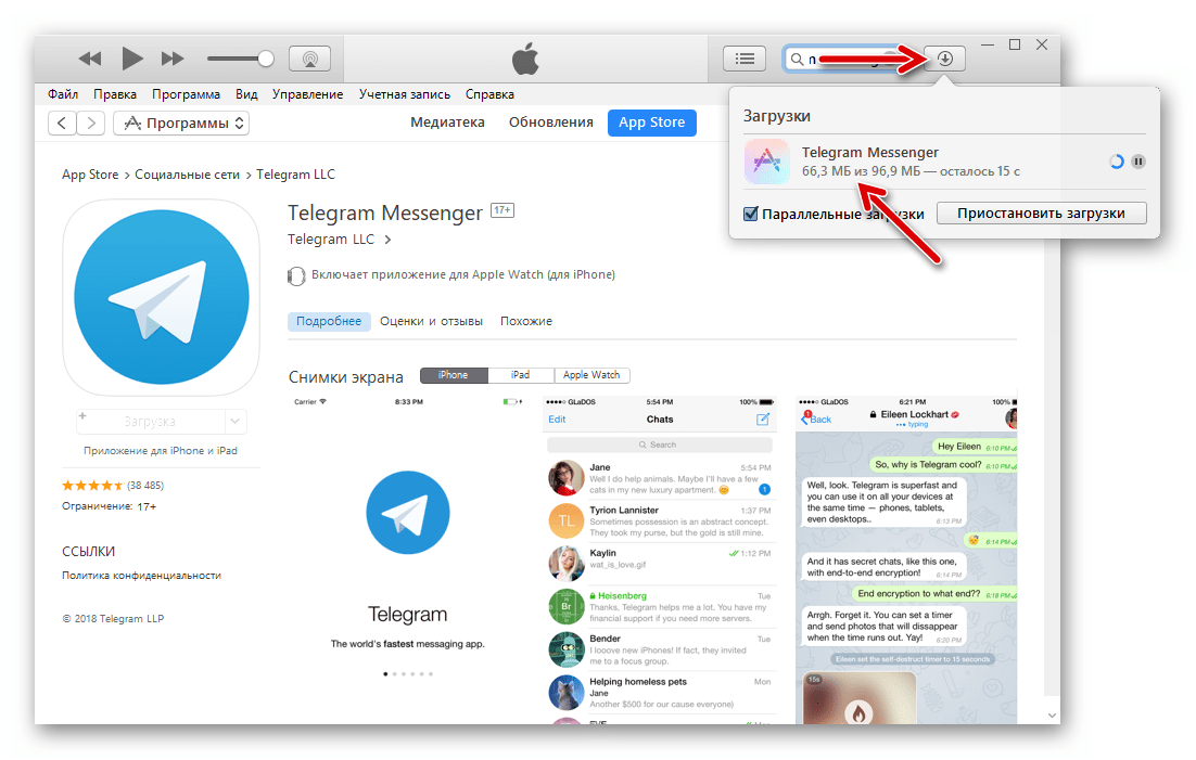 Telegram для iPhone iTunes - процесс загрузки мессенджера из Apple App Store