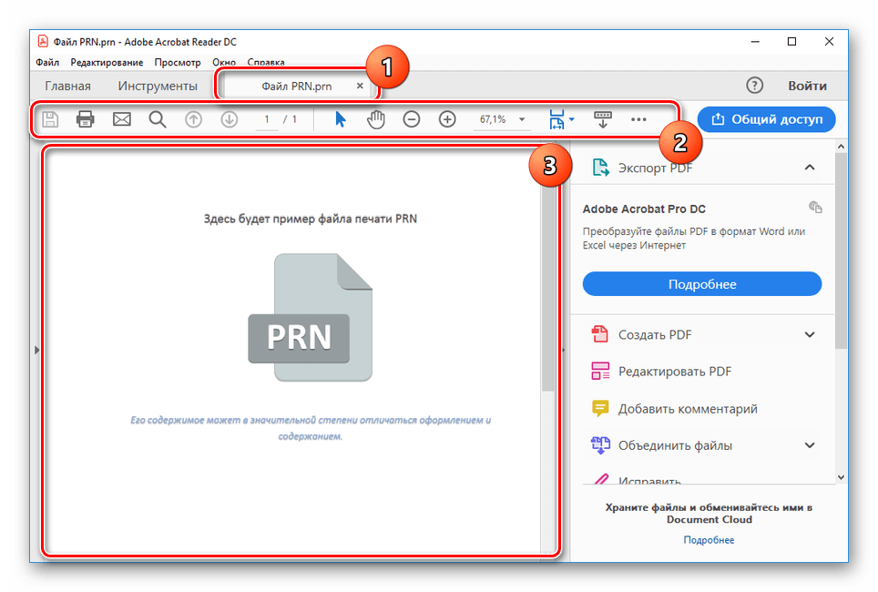 Успешно открытый файл PRN в Adobe Acrobat