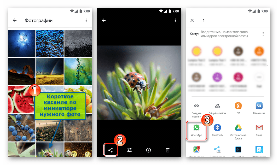 WhatsApp для Android - функция Поделиться в Google Фото для передачи изображения в мессенджер