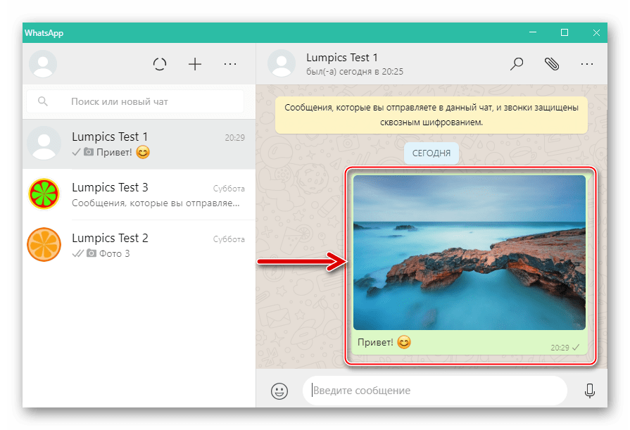 WhatsApp для Windows фото отправлено собеседнику через мессенджер