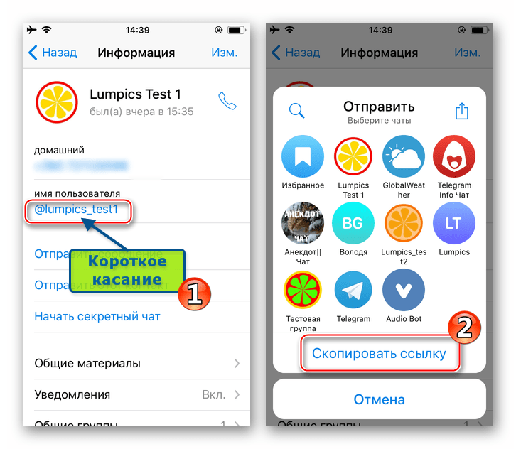 Telegram для iOS - копирование ссылки на профиль в мессенджере из меню Отправить