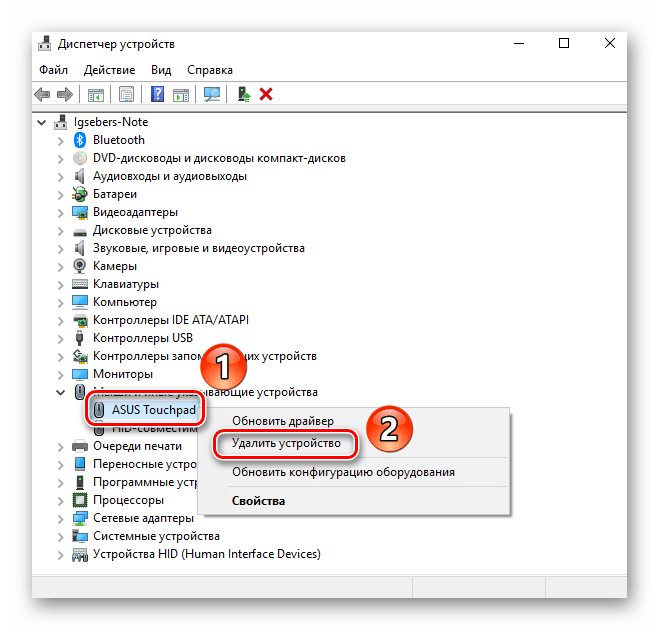 Удаление тачпада ноутбука из Диспетчера устройств в ОС Windows 10