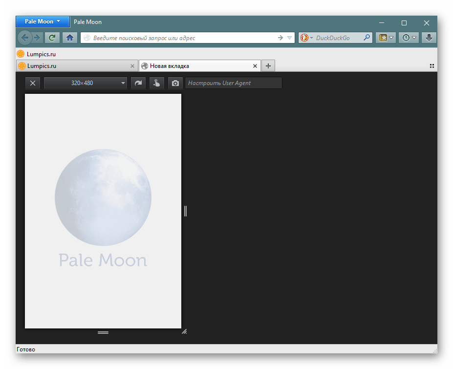 Один из инструментов веб-разработчика в Pale Moon