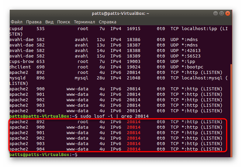 Результаты выборочного сканирования в Ubuntu