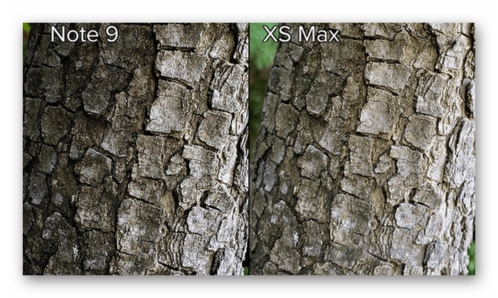 Сравнение детализации на iPhone XS Max и Galaxy Note 9