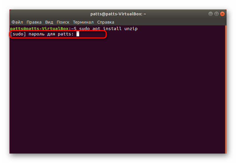 Ввод пароля для установки Unzip в Linux