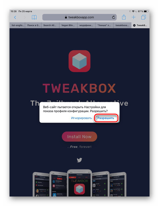 Нажатие по кнопке Разрешить при установке приложения TweakBox на iPad