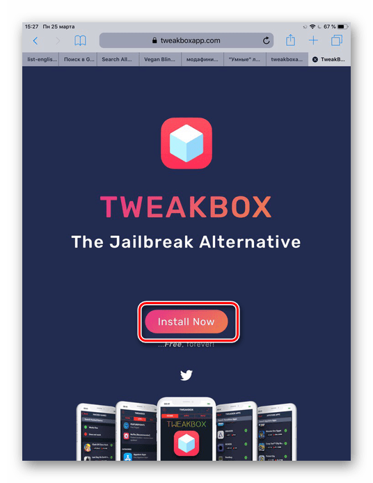 Переход на официальный сайт TweakBox и скачивание приложения на iPad