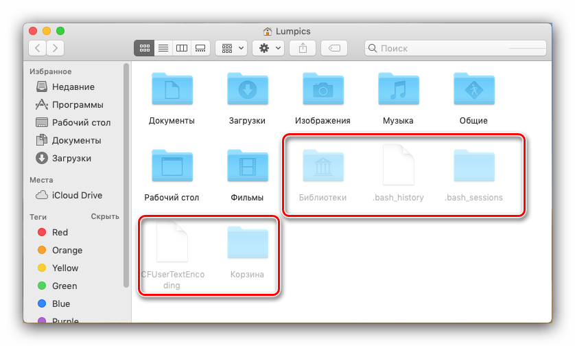 Показ скрытых файлов macOS, открытое сочетанием клавиш