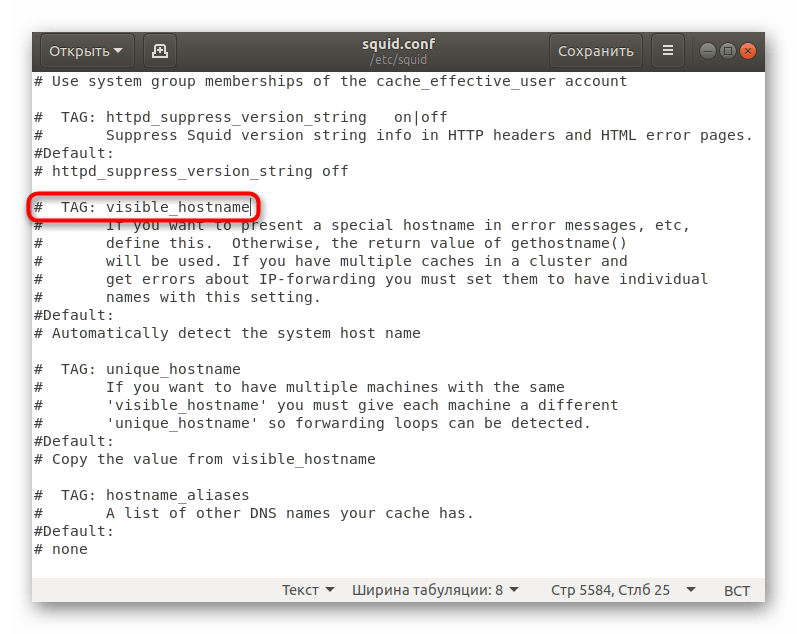 Установить имя хоста в конфигурационном файле Squid в Ubuntu