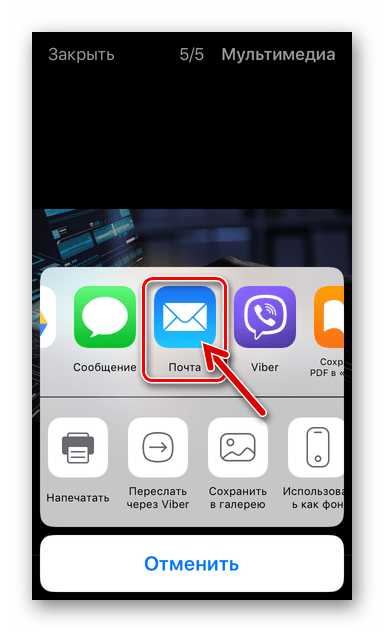 Viber для iPhone выбор почтового клиента в меню Поделиться для передачи фото из мессенджера по e-mail