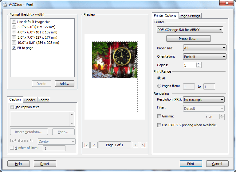 Настройка печати изображения в ACDSee