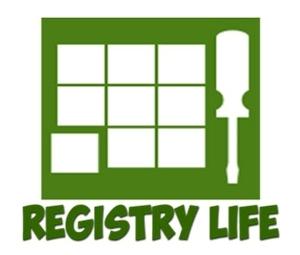 Логотип Registry Life