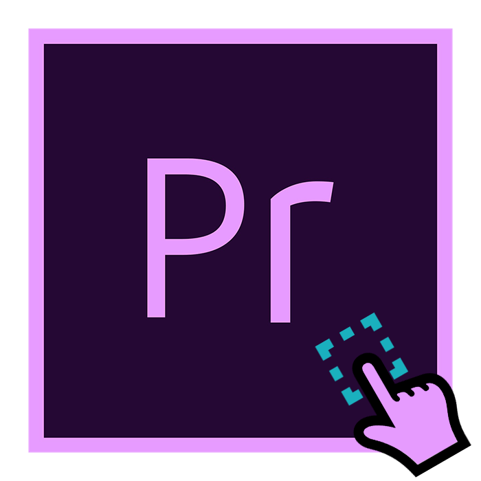 adobe bridge premiere pro