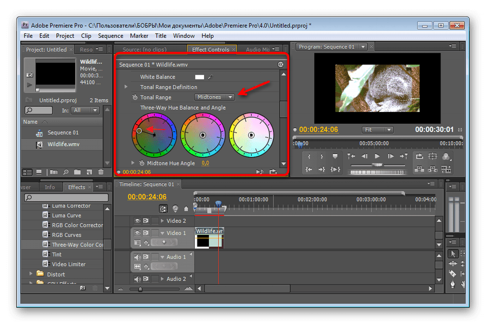 Выполнение цветокоррекции в программе Adobe Premiere Pro