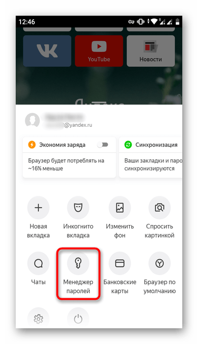 Менеджер паролей в мобильном Яндекс.Браузере