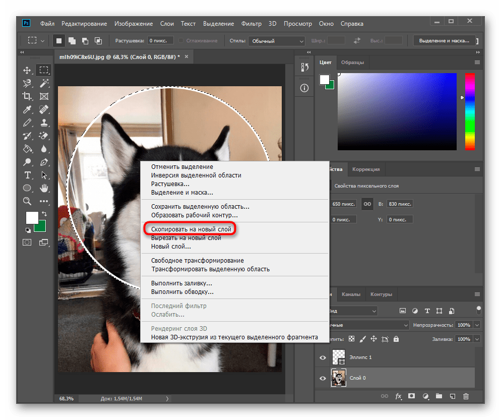 Копирование выделенного круга на новый слой вместо вырезания в Adobe Photoshop