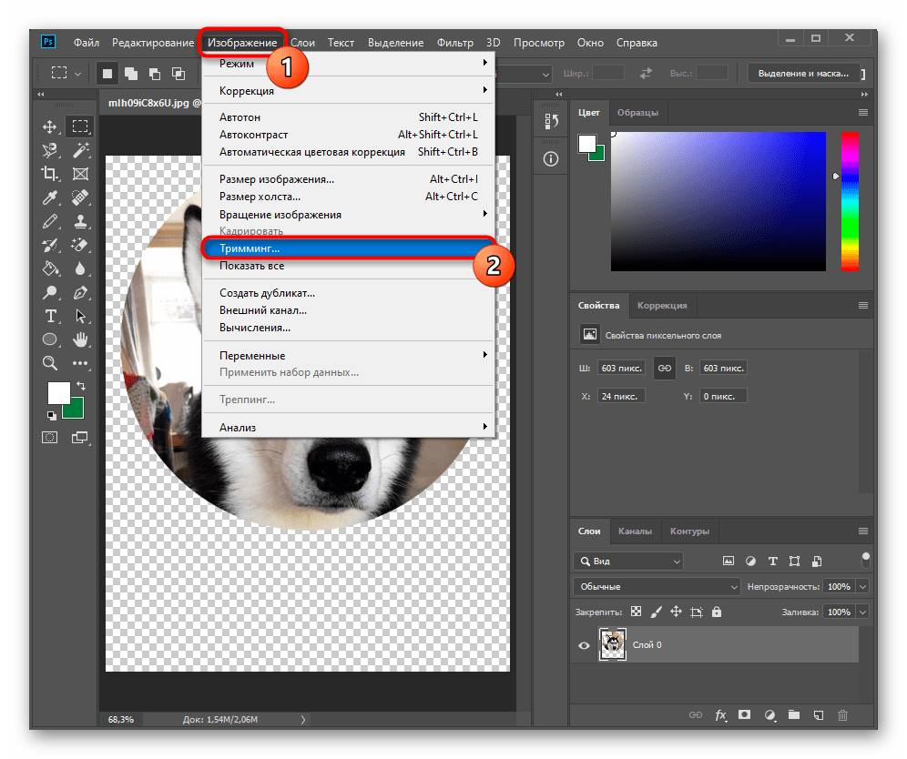 Переход в тримминг изображения для удаления пустых участков после вырезания круга в Adobe Photoshop