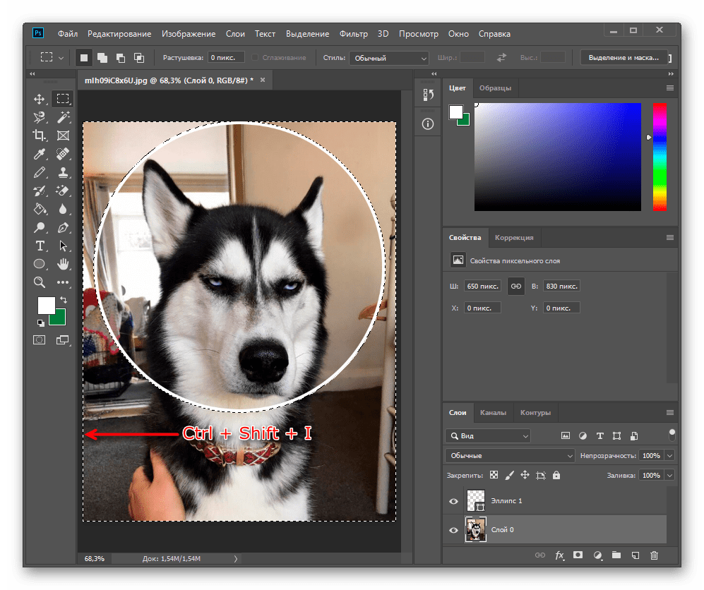 Результат инверсии выделенной области через горячую клавишу для вырезания круга в Adobe Photoshop