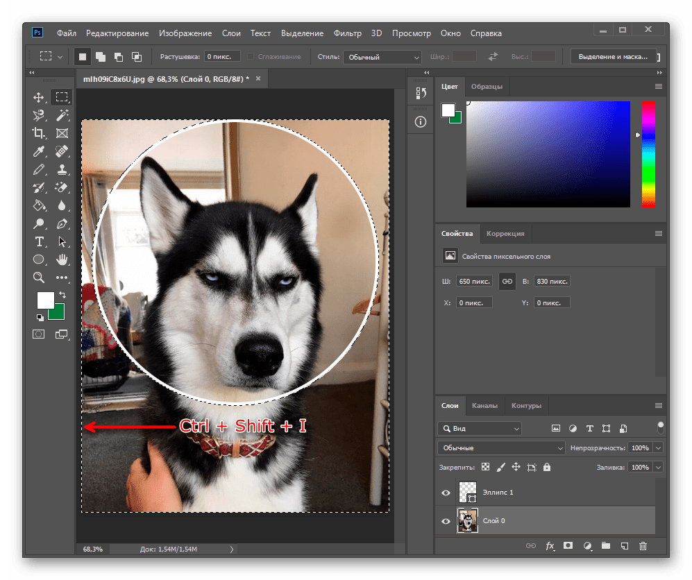 Как вырезать круг в Фотошопе