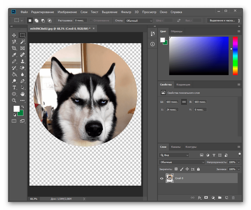 Результат вырезанного круга из фонового изображения в Adobe Photoshop