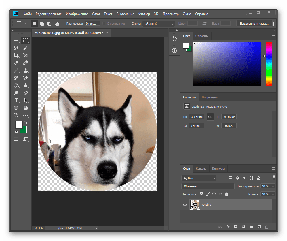 Результат вырезанного круга в Adobe Photoshop